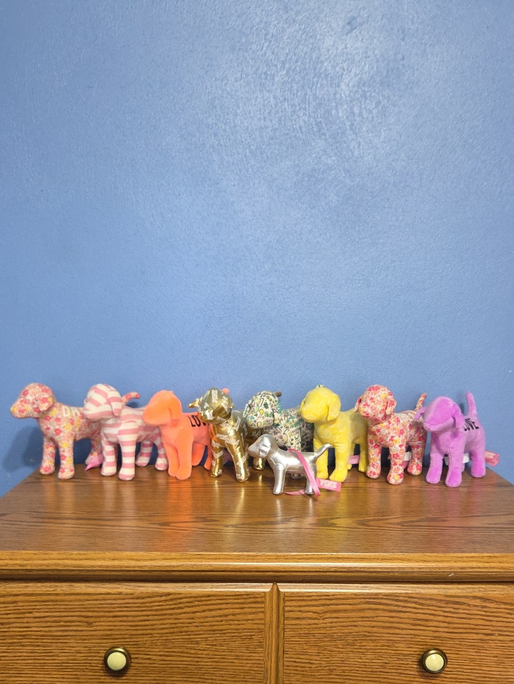 VS PINK Dogs - Pink, Yellow, Orange, Gold, Silver, Purple.